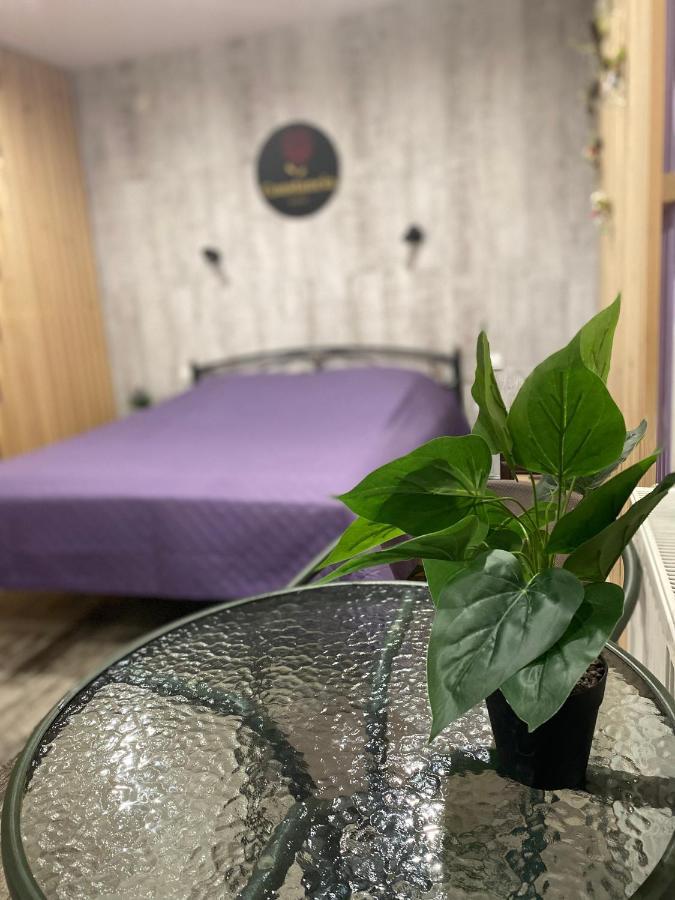 Constancia Hotel Kamianets-Podilskyi Luaran gambar